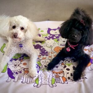 Pooch Pals Pet Towels