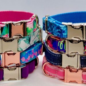 Collars and Leads