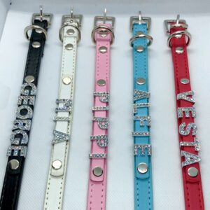 Personalised Collar